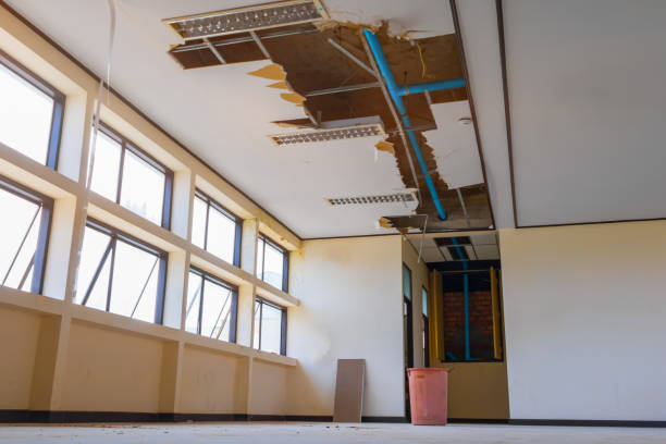 Best Water damage contractors near me  in Laurel Hill, NC