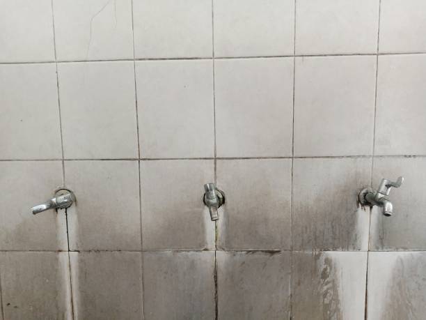 Best Commercial water damage restoration  in Laurel Hill, NC