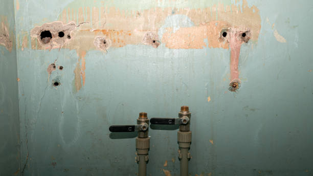 Best Local water damage restoration  in Laurel Hill, NC