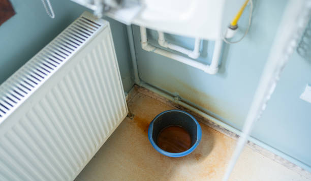 Best Water damage restoration process  in Laurel Hill, NC