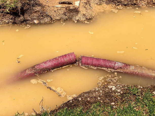 Best Flood damage cleanup  in Laurel Hill, NC